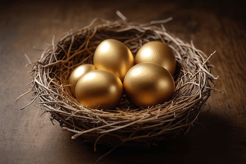 golden nest egg