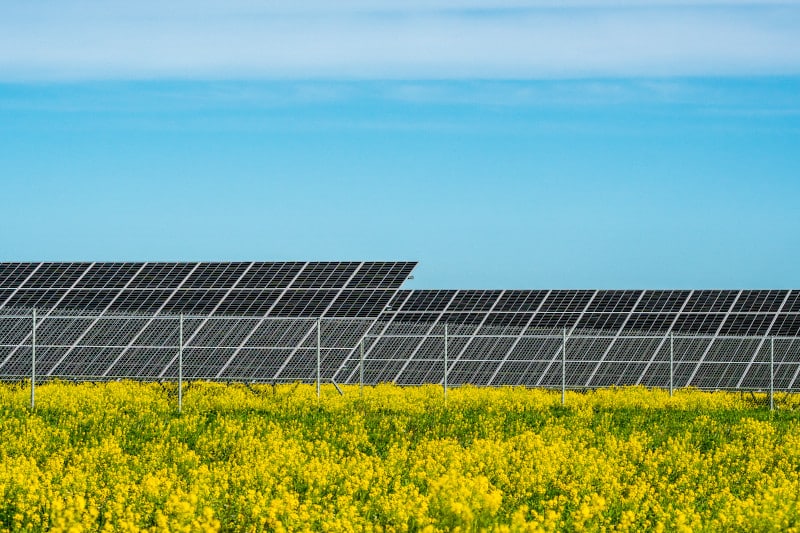 solar panels use silver