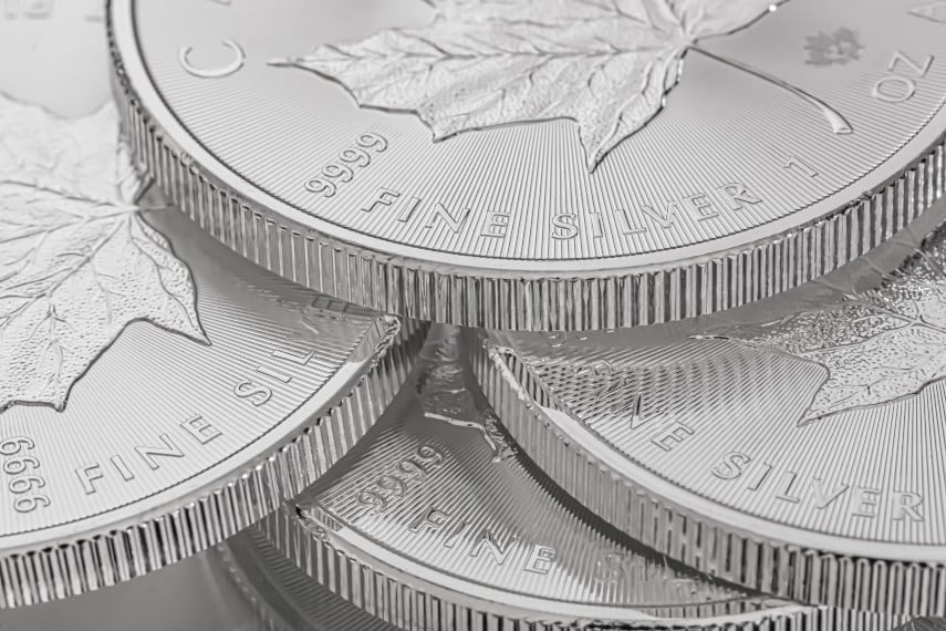 Canadian Silver Maple Leaf coins