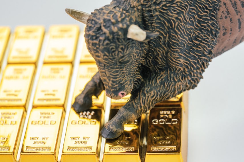 bull market in gold